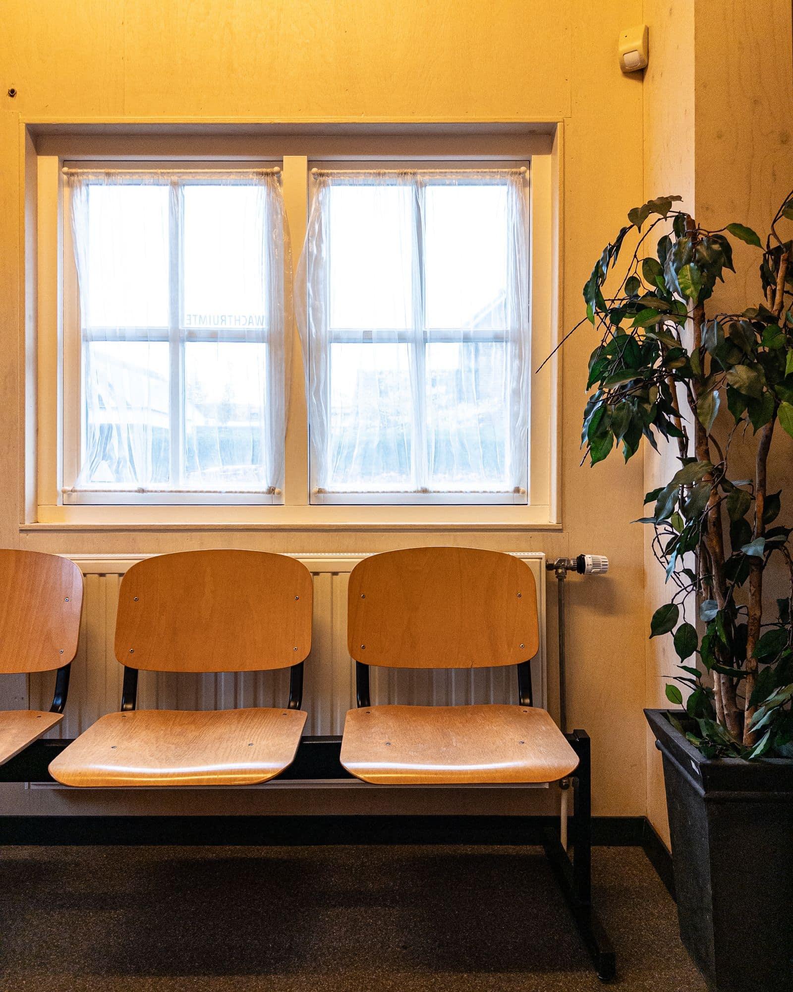 An empty waiting-room bench by a daylit window, with a pot plant beside it